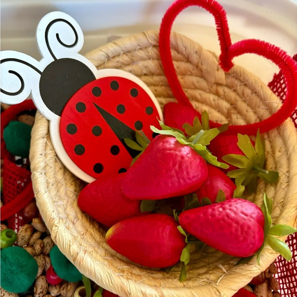 Strawberry and Ladybug Sensory Bin Filler